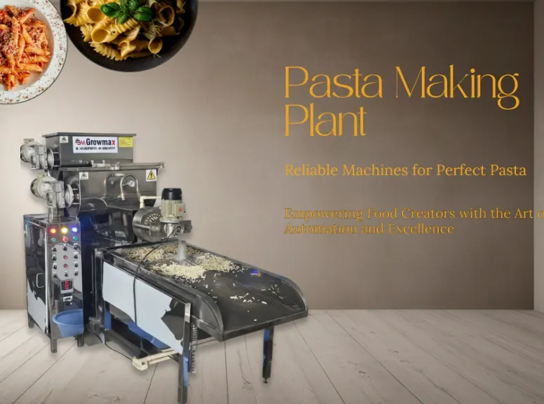 Commercial Pasta Making Plant